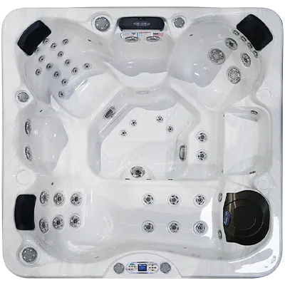 Avalon EC-849L hot tubs for sale in Omaha