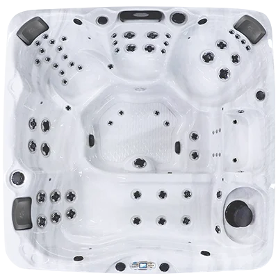 Avalon EC-867L hot tubs for sale in Omaha